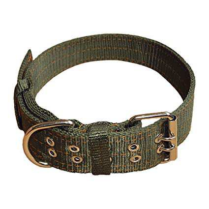 Dog Collars